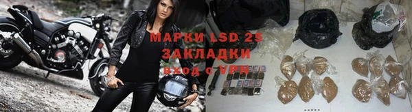 стаф Дегтярск