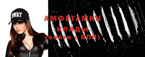 сатива Дедовск
