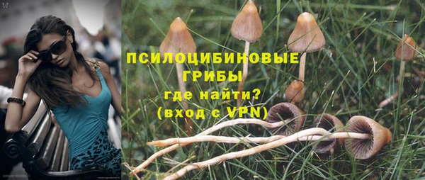 сатива Дедовск