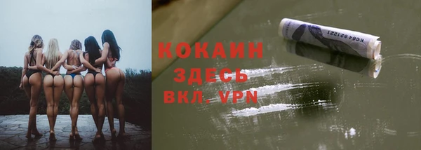 сатива Дедовск