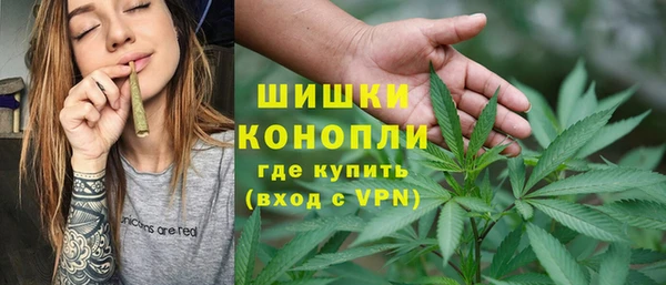 бошки Новодвинск