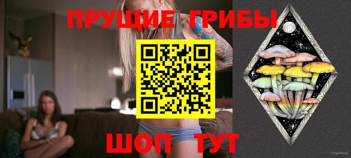 купить наркотик  Вход с VPN  Ртищево  Псилоцибиновые грибы GOLDEN TEACHER 