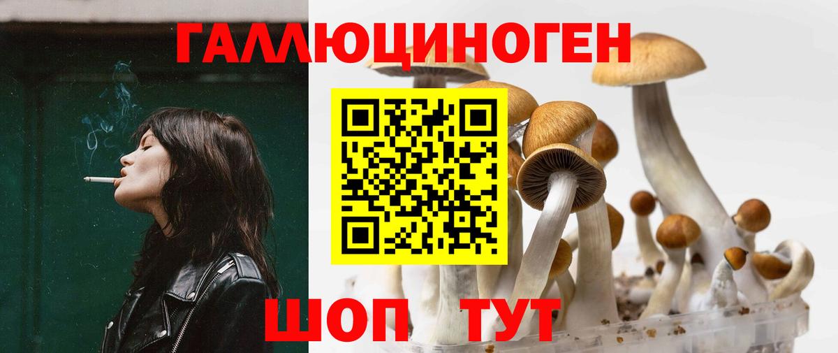 Галлюциногенные грибы прущие грибы Ртищево